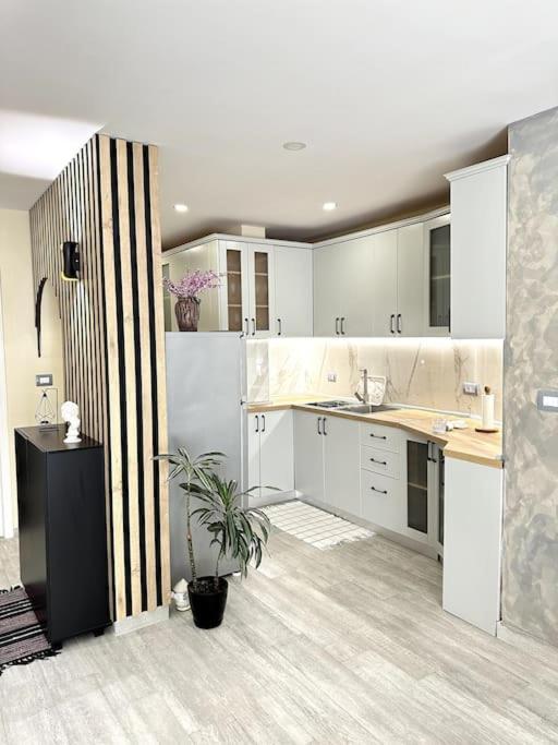 Great Apartament Near Lake & Blloku Area 地拉那 外观 照片